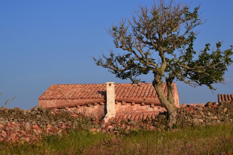 Santa Águeda